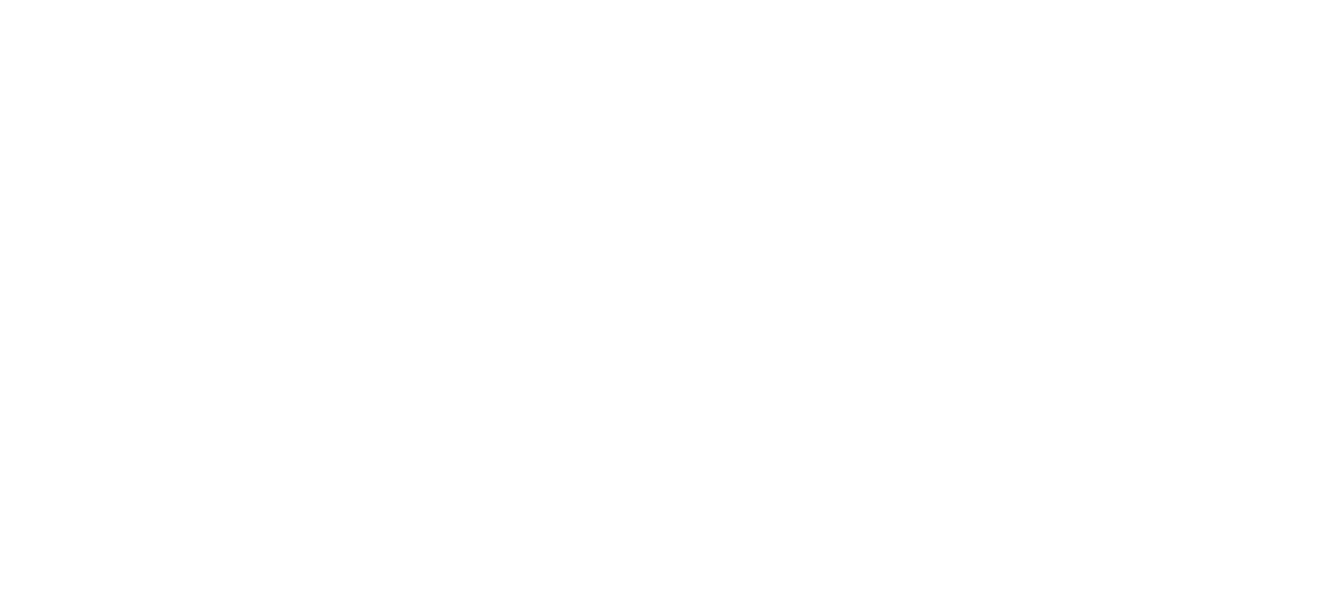 ccn-wordmark-white